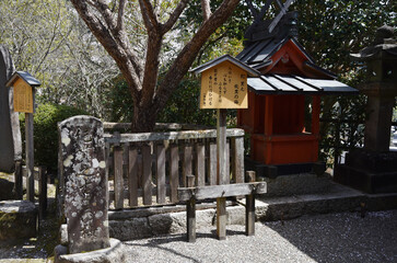 春の長谷寺　紀貫之故里の梅　奈良県桜井市初瀬