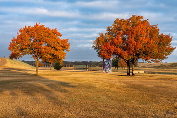 Autumn Trees and Train Bridge