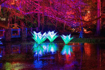Fototapeta premium Lightscape at Fort Worth Botanic Garden