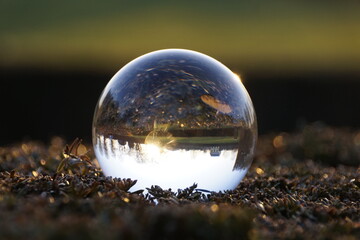 Lensball Schloss Wackerbarth Park Winter Glaskugel Reflexion 