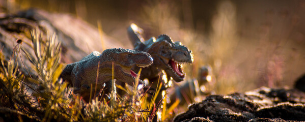 a couple of tyrannosaurus rex in the wild during the cretaceous