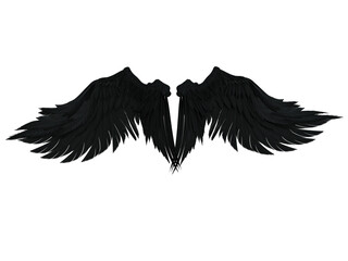 Black feathered wings.