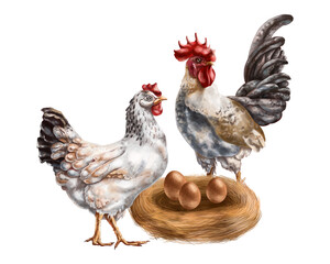 A composition of a white hen and a gray rooster among a nest and chicken eggs. For postcards, textiles, booklets, banners, stickers. Digital illustration