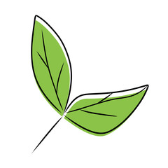 green leaf design element