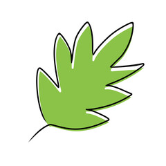 Obraz premium green leaf design element