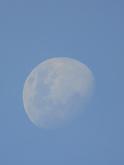 the beauty of the moon in the evening