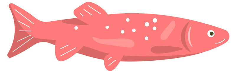 Marine fish, life in the ocean