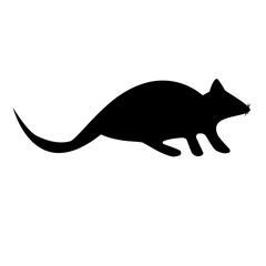 rat silhouette