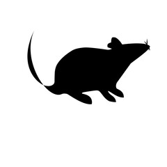 rat silhouette