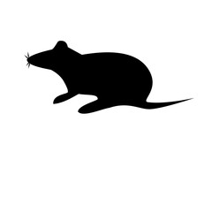 rat silhouette