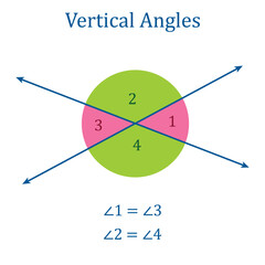 Vertically opposite angles diagram in mathematics. Vertical angles and intersecting lines. Vector illustration isolated on white background.