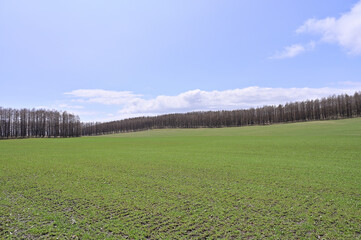 Obraz premium Circling the coast of Hokkaido in spring