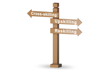 At the crossroads choosing between up-skilling and re-skilling