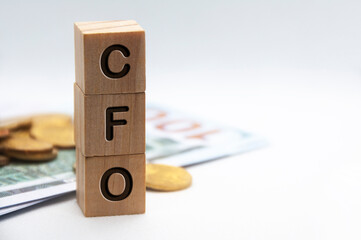 Chief Financial Officer - CFO text engraved on wooden blocks with customizable space for text. Copy space and Senior Management concept - obrazy, fototapety, plakaty
