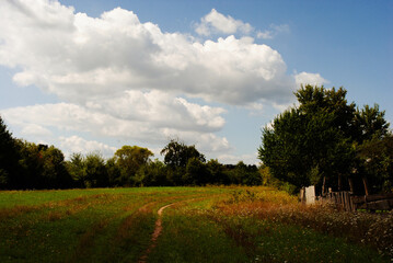 landscape with trees