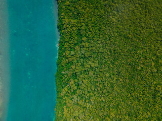 Overhead aerial view of Cancun jungle and river in Punta Nizuc