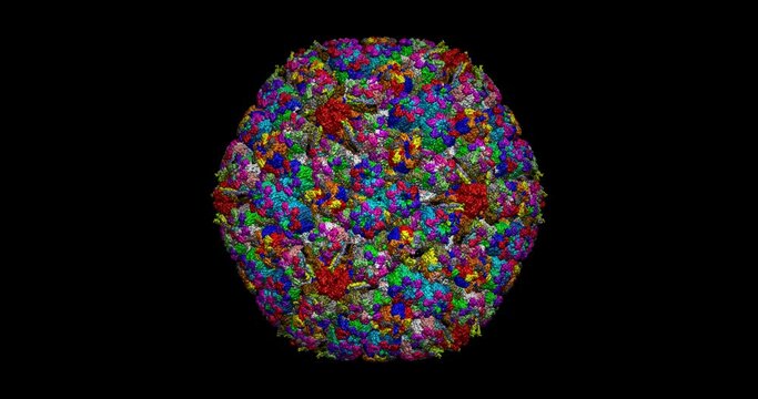 Herpes virus capsid 3D protein molecule spinning 4K