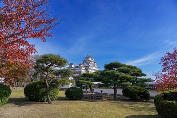 青空バックに見るカラフルな紅葉とお城のコラオボ情景＠兵庫