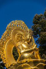Fototapeta premium 奈良県、橿原、久米寺