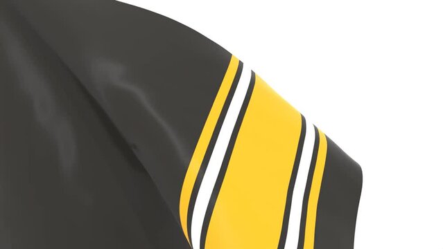 Waved flag textured by Pittsburgh Steelers american footbal team uniform colors. 3D render