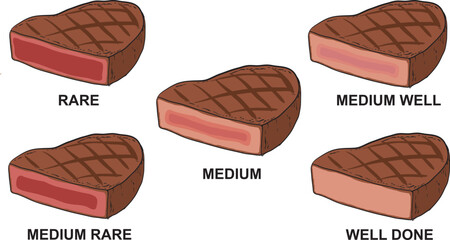 steak doneness illustration