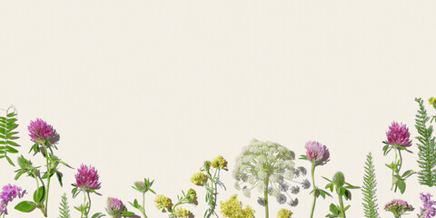 Natural summer floral minimal flat lay frame from wild field flowers, beautiful blooms at sunlight...