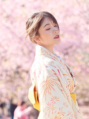 Portrait of beautiful young Chinese girl in Japanese kimono posing eyes closed with blossom cherry...