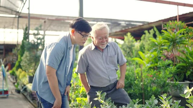 Asian elderly man father and adult son choosing and buying plant together at plant shop street market on summer vacation. Family relationship, fathers day and senior people mental health care concept.