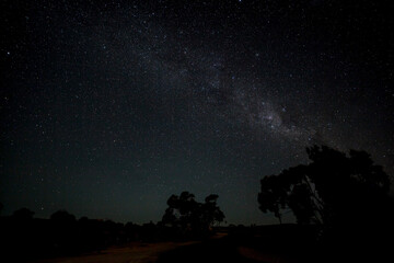 Obraz na płótnie Canvas Milky Way and trees 