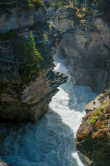 The scenic beauty of Jasper Canada