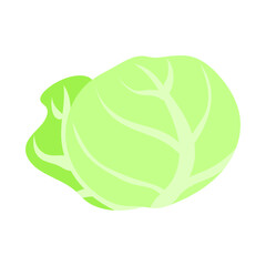キャベツ。フラットなベクターイラスト。
Cabbage. Flat designed vector illustration.