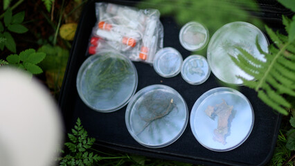 In a forest area, an ecologist takes plant samples and puts them in a container for research in a laboratory. Environment and ecosystem concept. Biology activist.