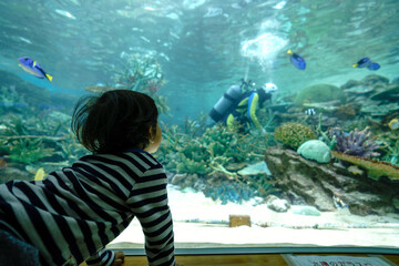 名古屋港水族館　水槽を眺める子供