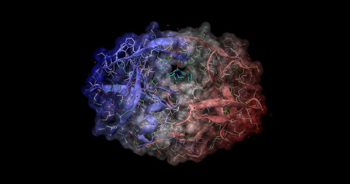 HIV-1 protease 3D protein molecule spinning 4K