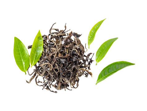 fresh and dry tea isolated on  transparent png