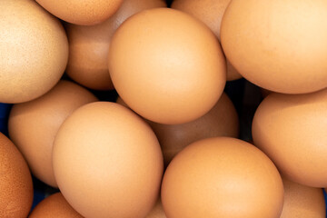 Brown chicken eggs from the farm. organic product selective focus