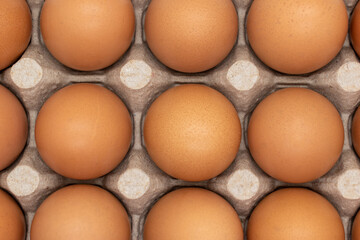 Brown eggs in an egg carton, close-up. pattern. organic product. agricultural production