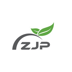 ZJP letter nature logo design on white background. ZJP creative initials letter leaf logo concept. ZJP letter design.