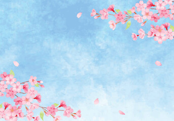 手描き水彩　桜の背景イラスト　