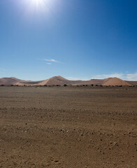 View of red sand dune