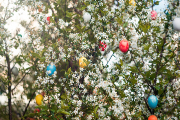 Easter egg on flowering tree branches against the blue sky. Easter