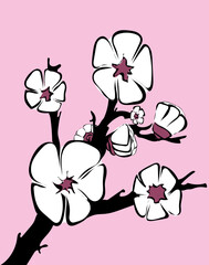 Obstbaum mit Blüten