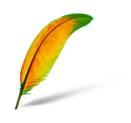 many colors feather isolated on transparent png