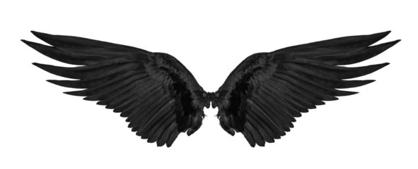 black wing isolated on transparent png