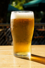 A glass of beer on the table of a beer bar. Amber Lager alcoholic drink.