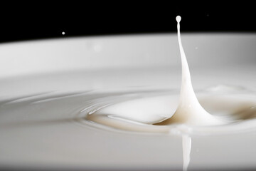 Milk is a white liquid food produced by the mammary glands of mammals