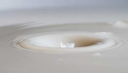 Milk is a white liquid food produced by the mammary glands of mammals