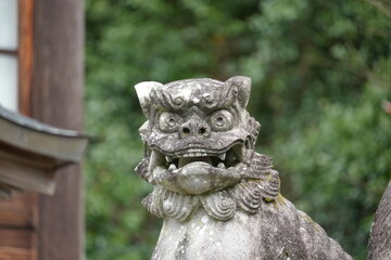 Obraz premium 狛犬 