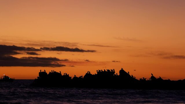 Golden Hour Sun Setting Glenelg Beach Sunset With Birds On Rocks