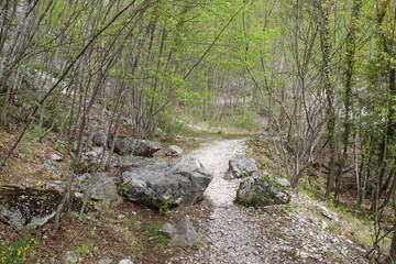 Fiume tra le rocce